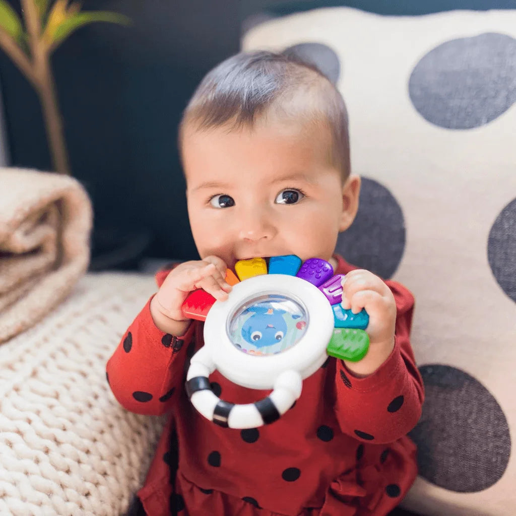 Sensory Rattle & Teether Toy BPA-Free, Multi-Textured & Chillable